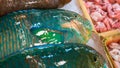 Shopping Chilled Parrotfish on display in a local asian fish market of Taiwan