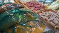 Shopping Chilled Parrotfish on display in a local asian fish market of Taiwan