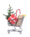 Shopping before Christmas concept