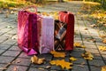 Shopping. Colorful paper bags in a park, among yellow leaves.