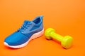 shopping concept. footwear for training. athletic footgear for running. dumbbell sport accessory.