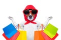 Shopping dog Royalty Free Stock Photo