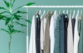 Shopping dress clothes shelf green leaves plant background Royalty Free Stock Photo