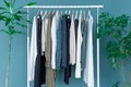 Shopping dress clothes shelf green leaves plant blue background Royalty Free Stock Photo