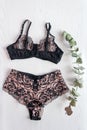 Shopping and fashion concept. Set of glamorous stylish lace lingerie lying on with green leaves. Flatlay, woman clothes and a