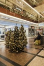 Shopping gallery at Christmas time. Royalty Free Stock Photo