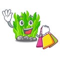 Shopping green seaweed isolated with the character