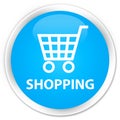 Shopping premium cyan blue round button Royalty Free Stock Photo