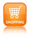 Shopping special orange square button Royalty Free Stock Photo