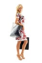 Shopping lady Royalty Free Stock Photo