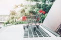 Shopping online with shopping cart and credit card concept Royalty Free Stock Photo