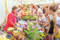 Shopping row with violets in pots at a street flower fair during the flower festival