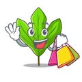 Shopping sassafras leaf in the cartoon stem