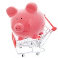 Shopping save Royalty Free Stock Photo