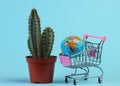 Shopping Royalty Free Stock Photo