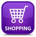 Shopping special purple square button Royalty Free Stock Photo