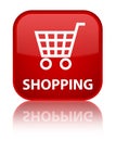 Shopping special red square button Royalty Free Stock Photo