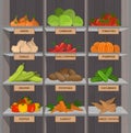 Shopping stands with vegetables. Supermarket shelves with onion and cabbage, potato and tomato. Vector illustration.