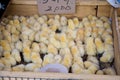 Shopping street market Seoul/Chicken