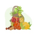 Shopping string bag with autumn vegetables and fruits from local market: pumpkin, carrot, corn, apple, quince, nuts. Reusable