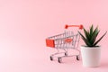 A shopping trolley and artificial plant