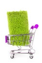 Shopping trolley with carpet isoalted