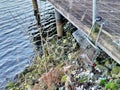 Shopping trolley cart abandoned on riverbank