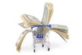 Shopping trolley with dollars Royalty Free Stock Photo
