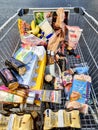 Shopping Trolley filled with groceries Royalty Free Stock Photo