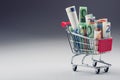 Shopping trolley full of euro money - banknotes - currency. Symbolic example of spending money in shops, or advantageous purchase Royalty Free Stock Photo