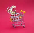 Shopping trolley, gift bag, chamomile flowers on pink background Royalty Free Stock Photo