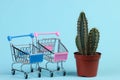 Shopping Royalty Free Stock Photo