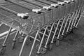 Shopping trollies carts
