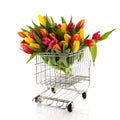 Shopping tulips Royalty Free Stock Photo