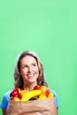 Shopping woman with a bag of food Royalty Free Stock Photo