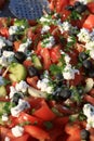 Shopska salad. Prepared from sliced tomatoes, cucumbers, roasted peppers, onion, olives, fresh parsley and grated white brined che
