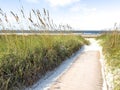 The shore of the Atlantic Ocean at Fort Clinch State Park in Florida Royalty Free Stock Photo