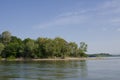 Shore of Belene island on Danube River Royalty Free Stock Photo