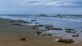 Shore Birds Watching the Waves Roll In