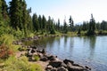 Shore of Callaghan Lake Royalty Free Stock Photo