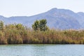 Shore of the Dalyan River, Turkey Royalty Free Stock Photo
