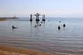 Shore of the Dead Sea