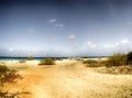 Shore Dive Site Bonaire Royalty Free Stock Photo