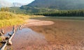 Shore of Fishercap Lake on the Swiftcurrent hiking trail in the Many Glacier region of Glacier National Park in Montana USA Royalty Free Stock Photo