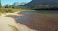 Shore of Fishercap Lake on the Swiftcurrent hiking trail in the Many Glacier region of Glacier National Park in Montana USA Royalty Free Stock Photo