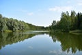 The shore of the forest lake is beautiful and calm, the mirror surface of the lake reflects the trees surrounding the pond