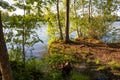 The shore of a forest lake. Sunset light. Finnish nature. Summer background. Royalty Free Stock Photo