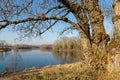 On a shore of Grand parc de Miribel-Jonage