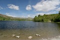 Shore of Grasmere Royalty Free Stock Photo