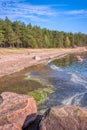 The shore of the gulf of finland of the baltic sea on a sunny summer day. Green pines, blue sky, huge boulders in the water and on Royalty Free Stock Photo